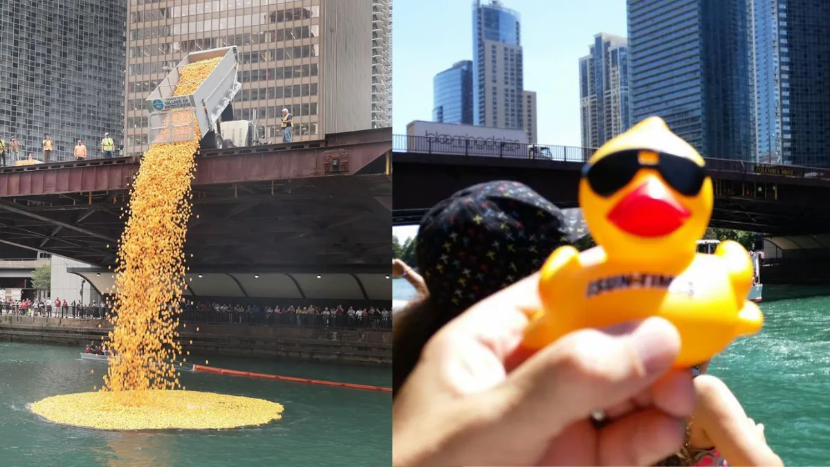 VIDEO | Más de $400 mil recaudados en carrera de patitos de goma del Chicago River