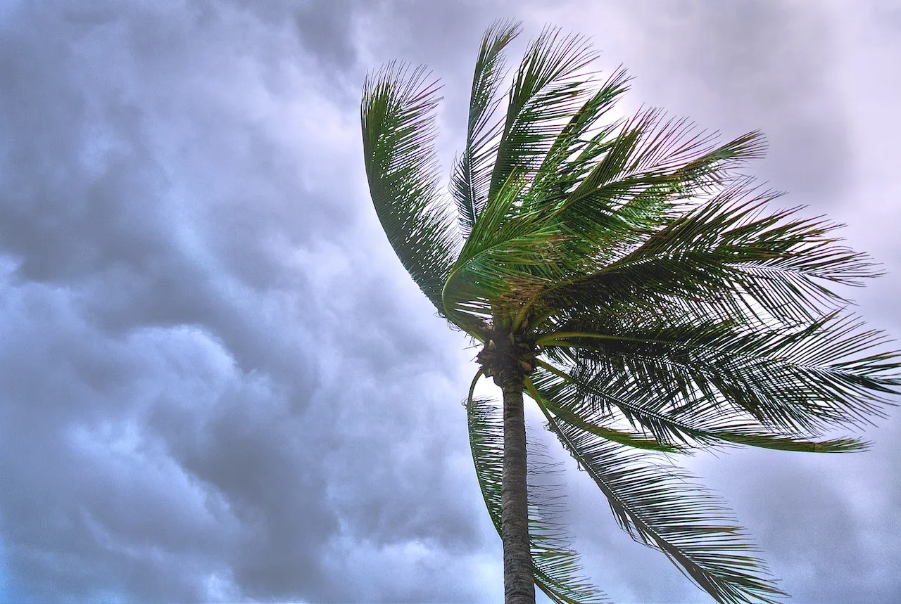 tormenta tropical Eugene