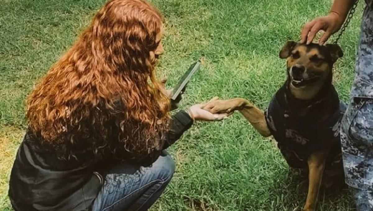 Ejército de México adopta a Cadete, el perro que se viralizó al colarse a Desfile Militar