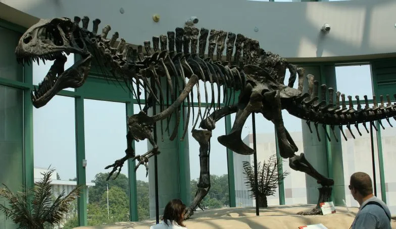Huella de Dinosaurio en texas