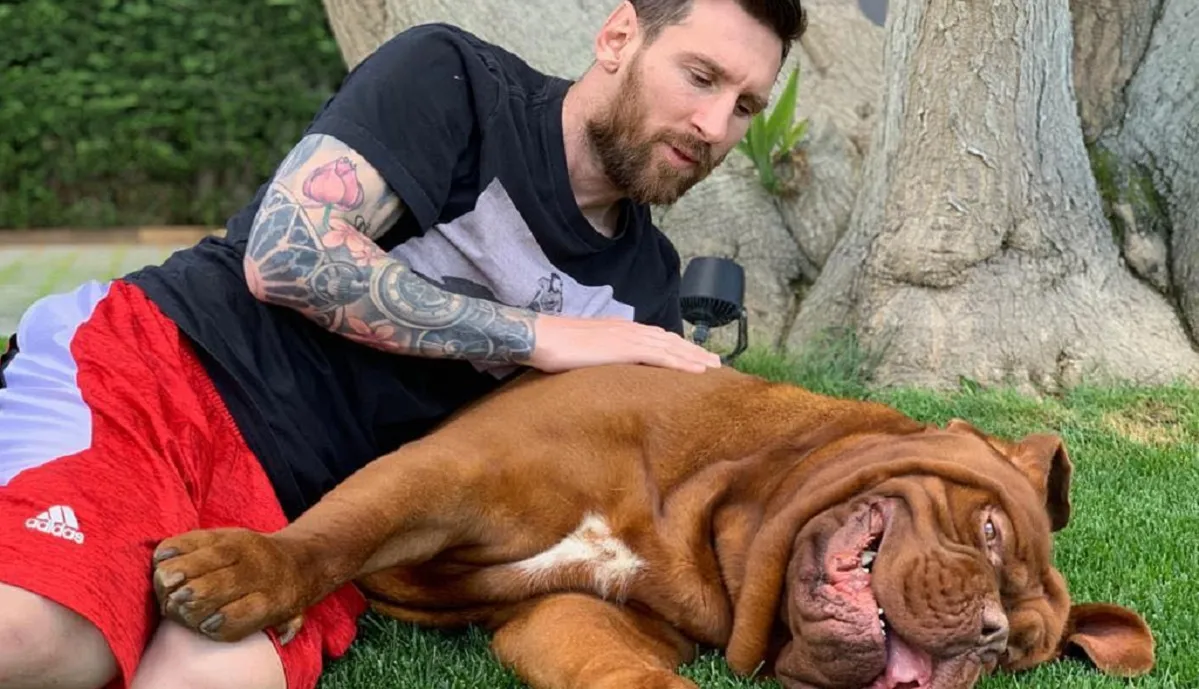 Qué pasó con Hulk, el perro de Messi Por esta razón no viajó con la familia a Miami