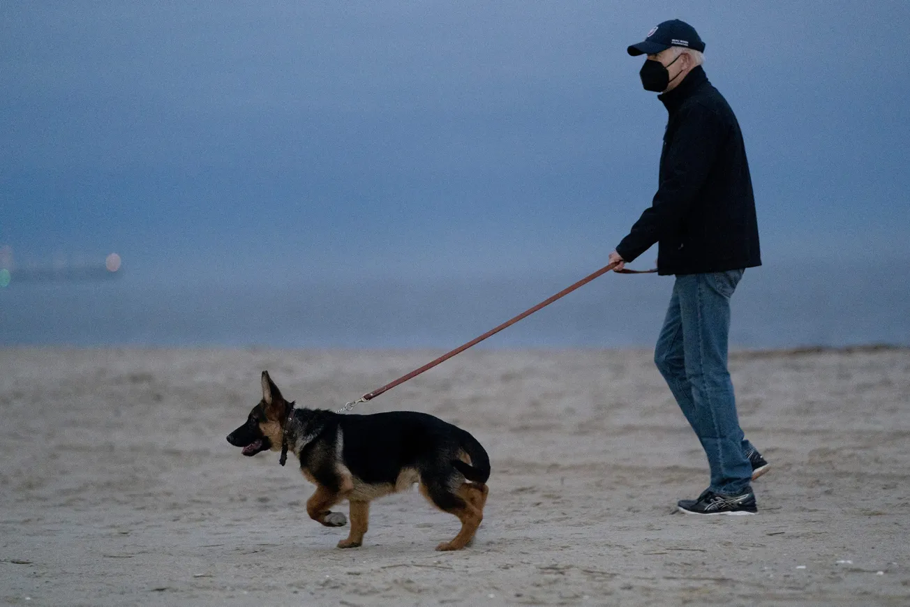 Commander perro de Biden