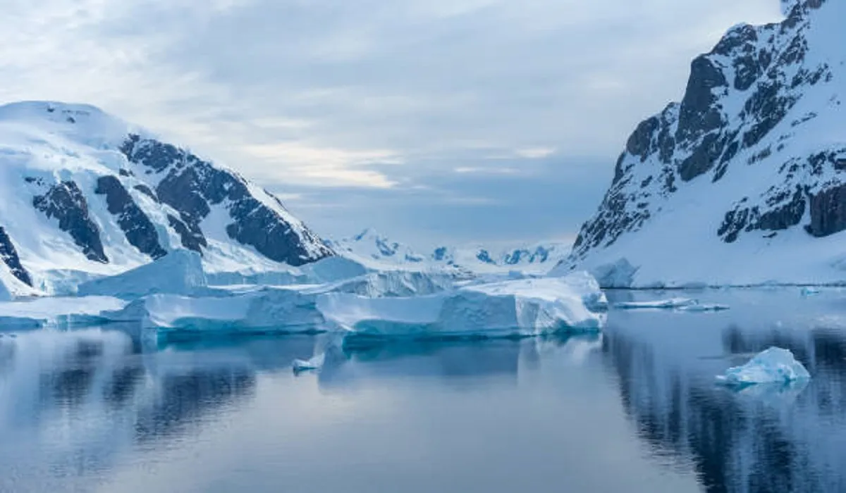 Un estudio alertó que la plataforma de hielo en la Antártida se redujo más del 40%