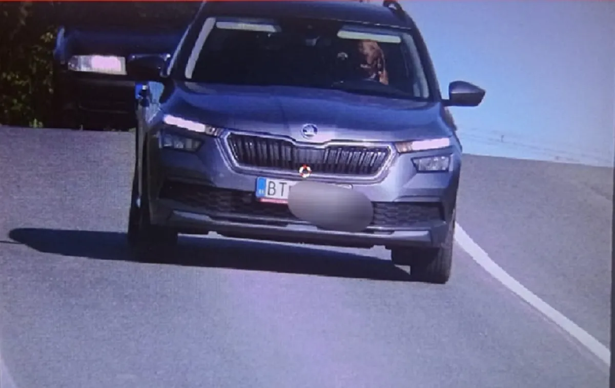 Un perro fue visto manejando en una autopista