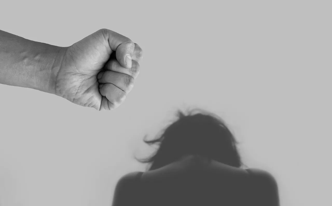 Violencia doméstica. Foto: Pixabay.