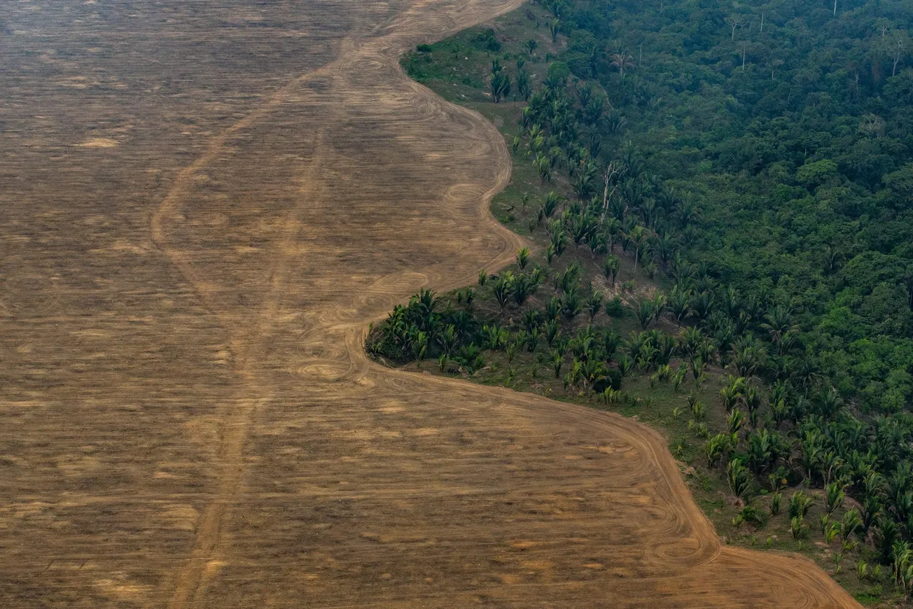 fondo amazonía