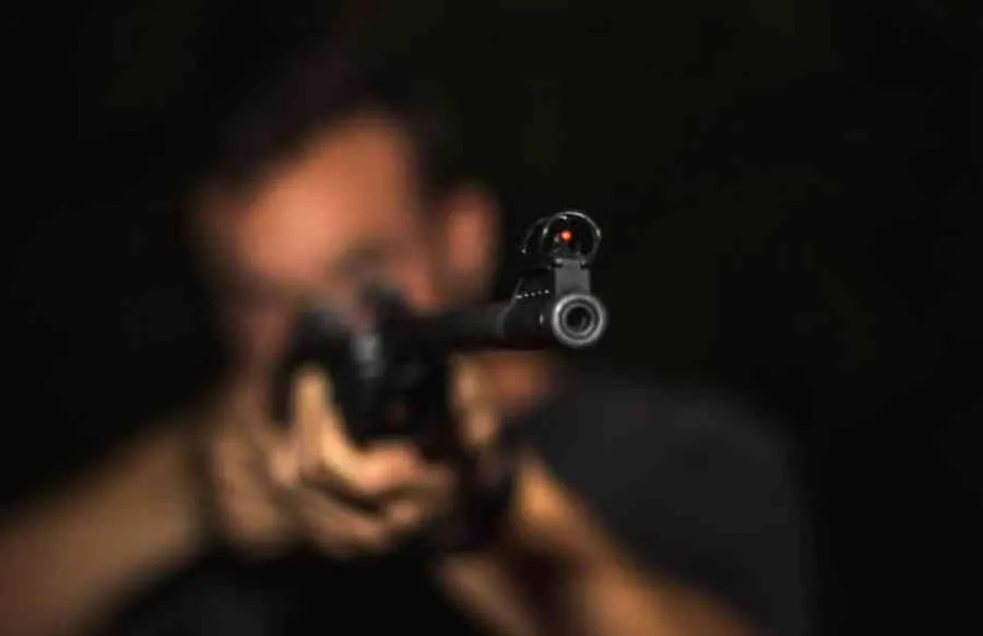 tenencia de armas