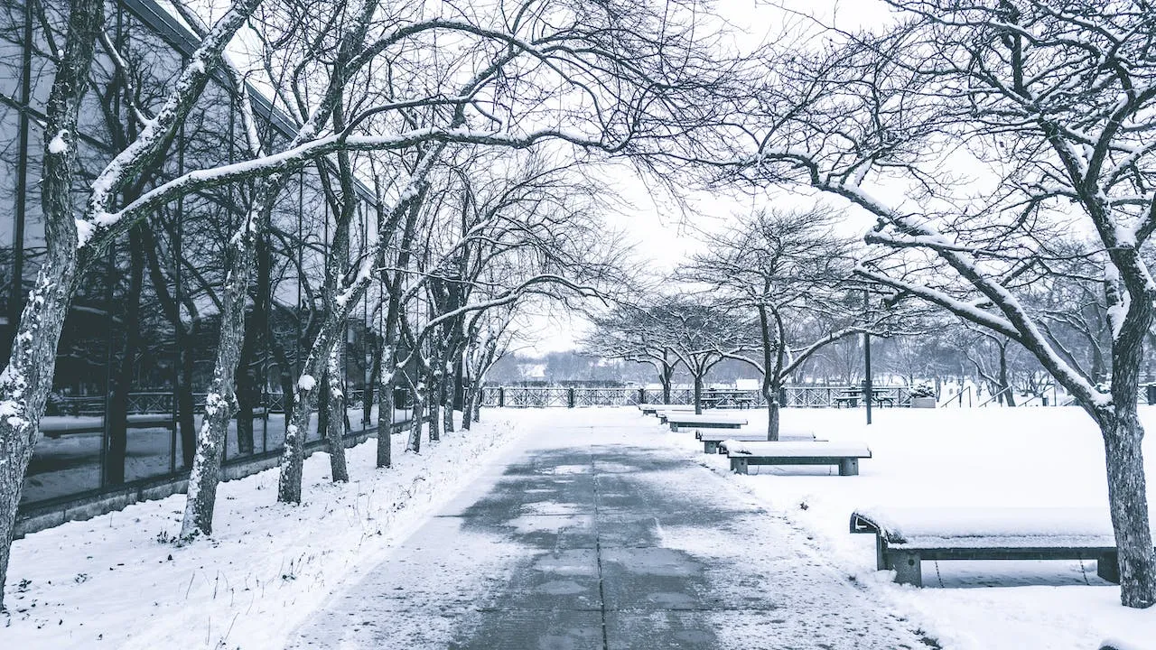 clima washington dc