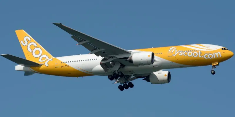 Robo efectivo vuelo