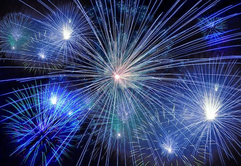 La pirotecnia o fuegos artificiales y cómo afectan a las mascotas. Foto de Archivo.