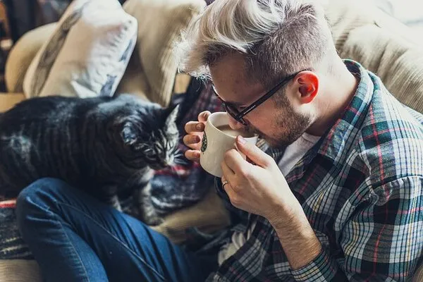Riesgo de tener gatos y desarrollar esquizofrenia