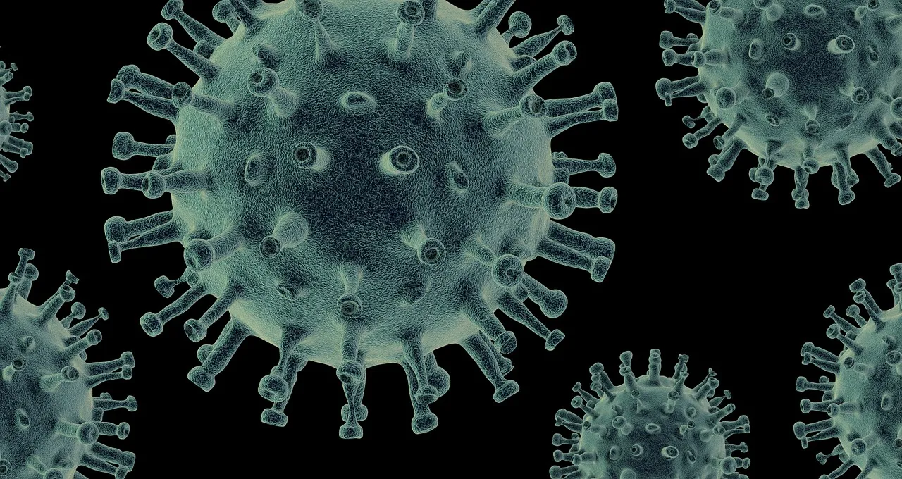 Massachusetts ha registrado un aumento en las infecciones víricas