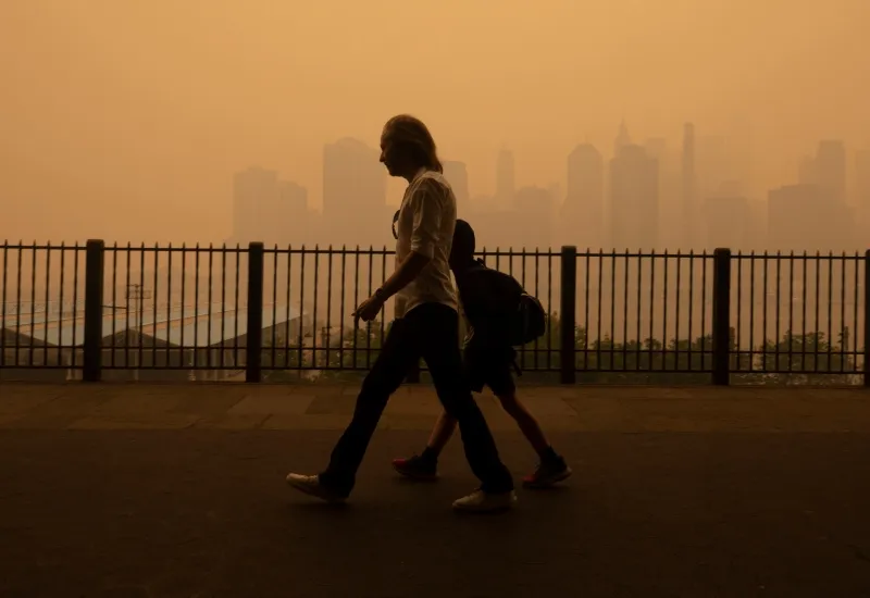 legislación educación climática crisis climática