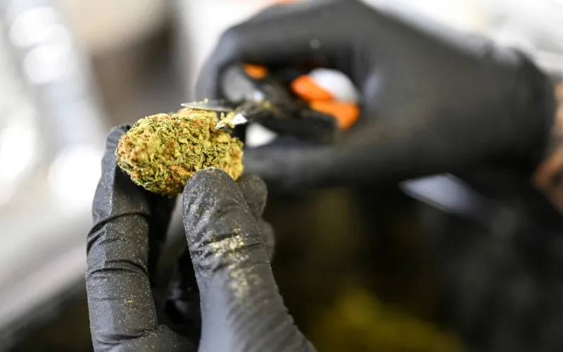 restricciones marihuana EEUU Biden