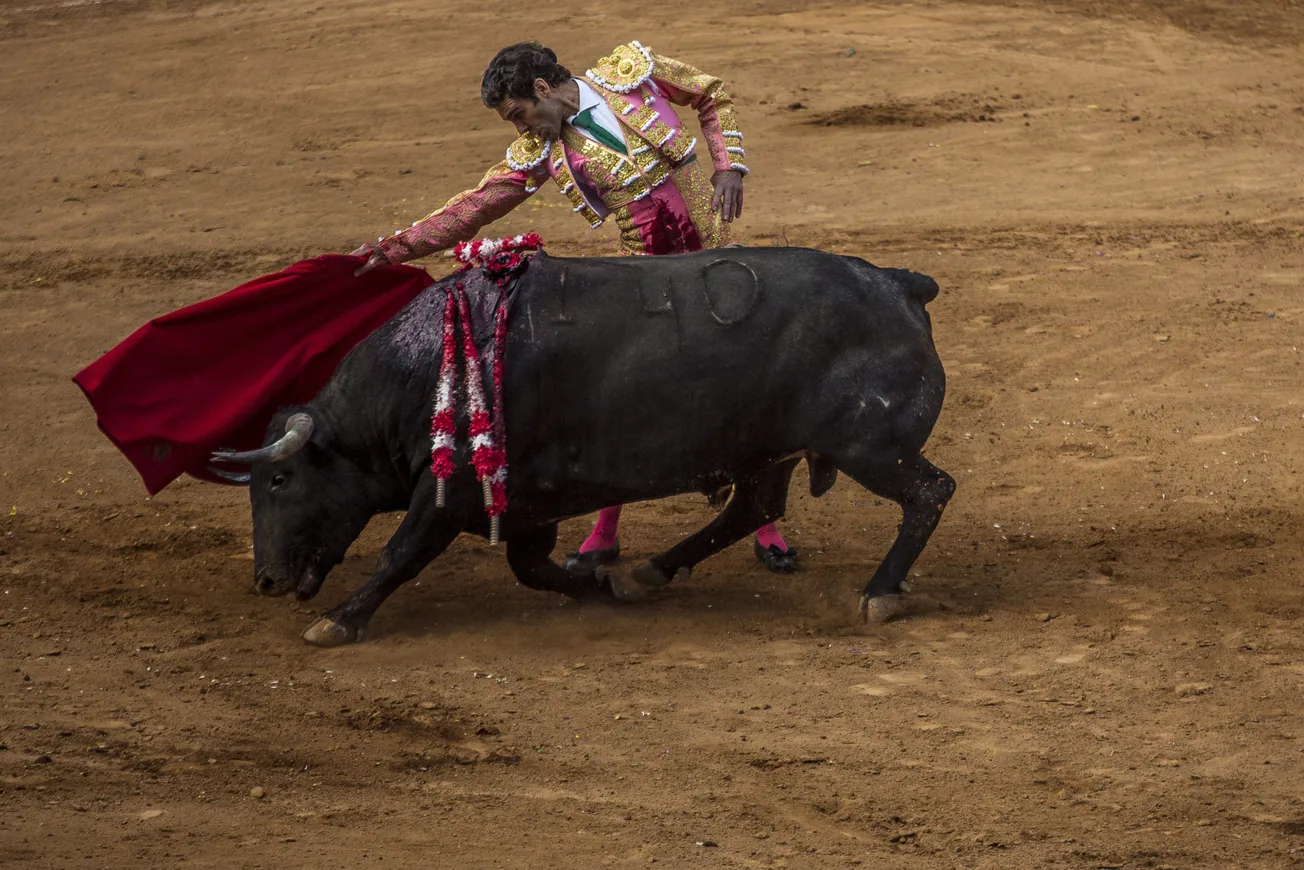 corridas de toros