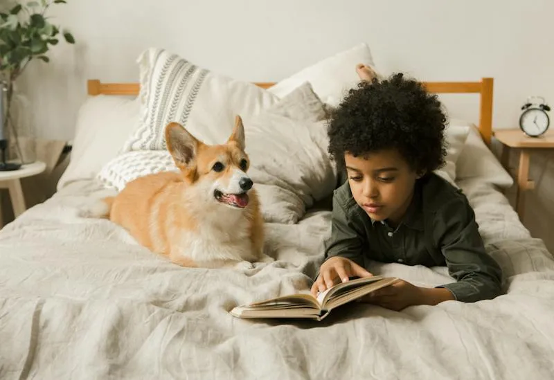 Perros y niños