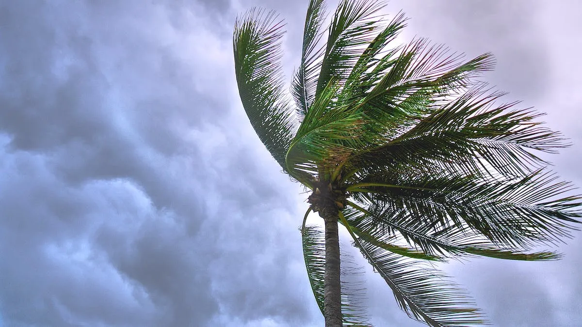 tormentas Alabama