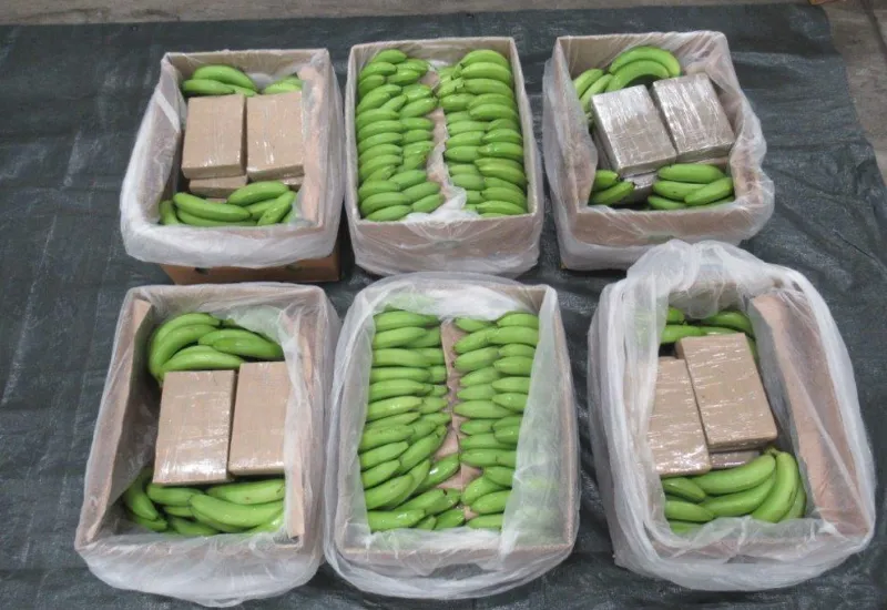 Autoridades alemanas cocaína