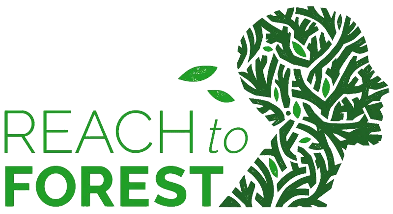 El festival REACH to FOREST del Kennedy Center explora las conexiones entre el arte, la ciencia y el medio ambiente