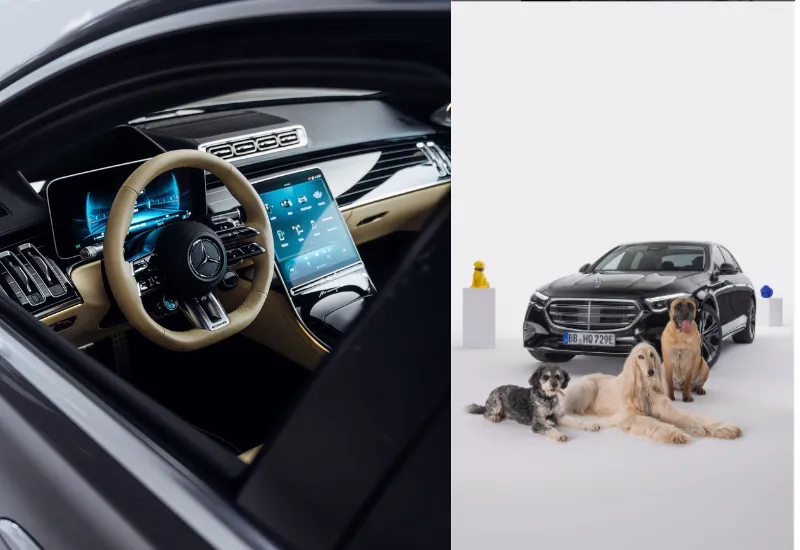 Mercedes Benz perros