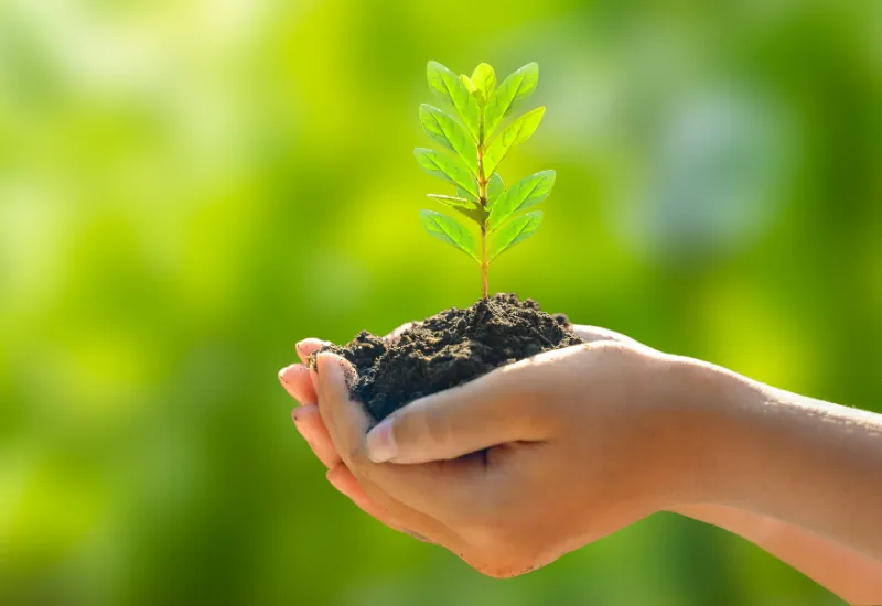 día de la tierra futuro sostenible