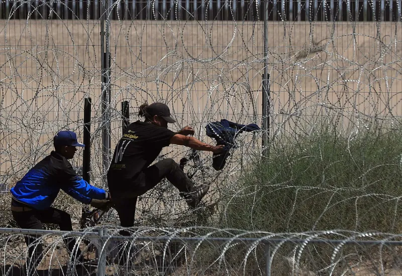 Migrantes pimienta