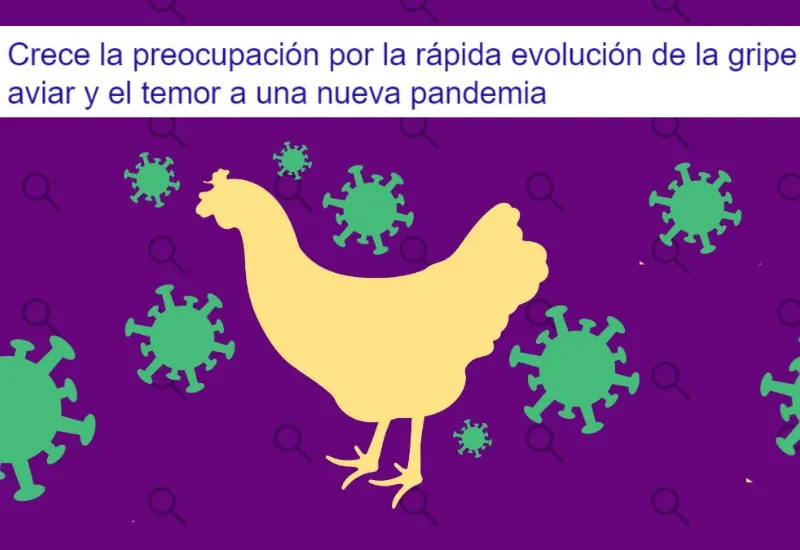 Gripe aviar