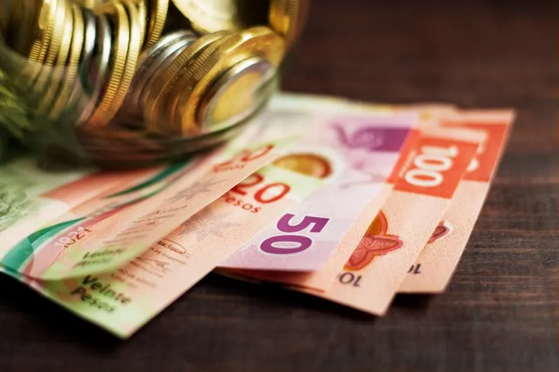 Peso y moneda mexicana