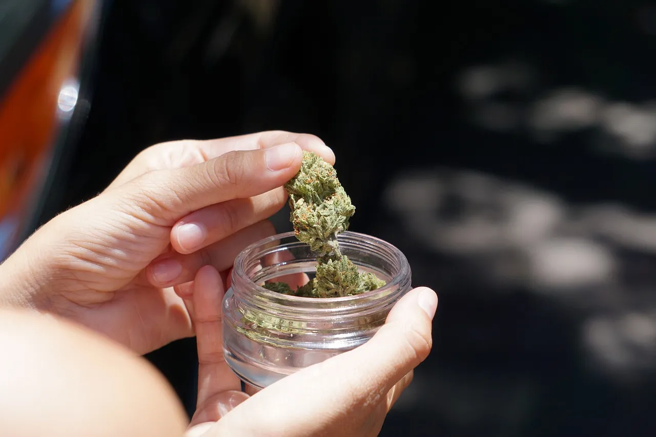 Consumo diario de marihuana