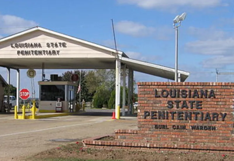 castración quirúrgica