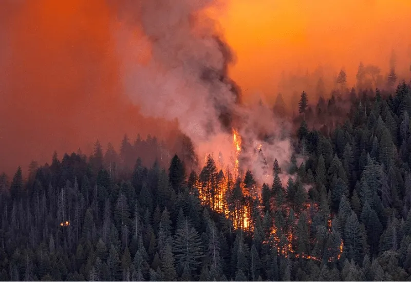 Alerta roja en California tras incendio forestal que provocó evacuaciones y la quema de 726.00 acres