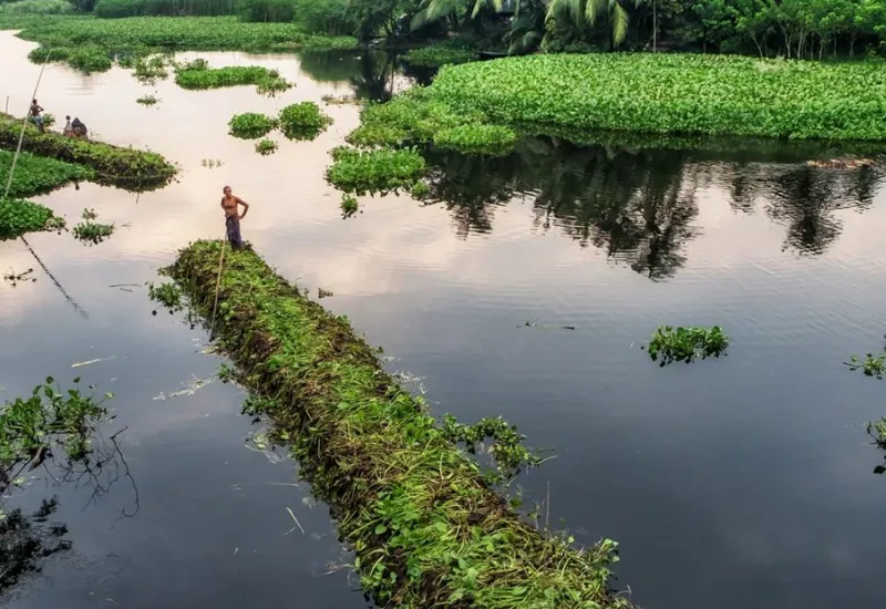 Inundaciones en Bangladesh dejan a millones de residentes a la deriva