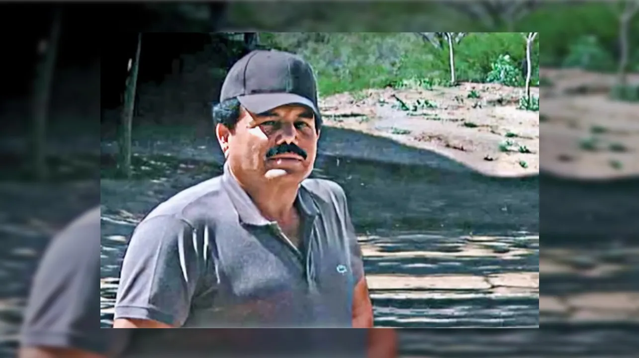 el mayo
