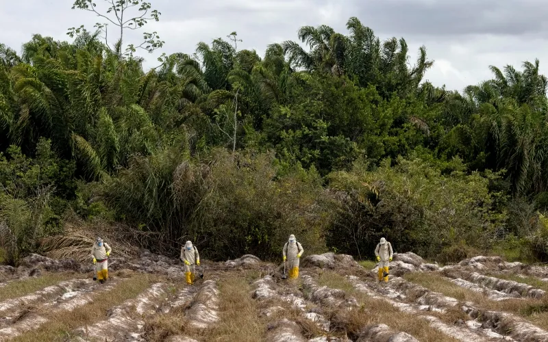 pesticidas EPA