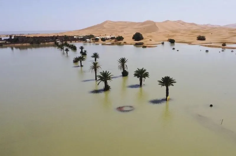 VIDEOS | Inundaciones históricas transforman el desierto del Sahara