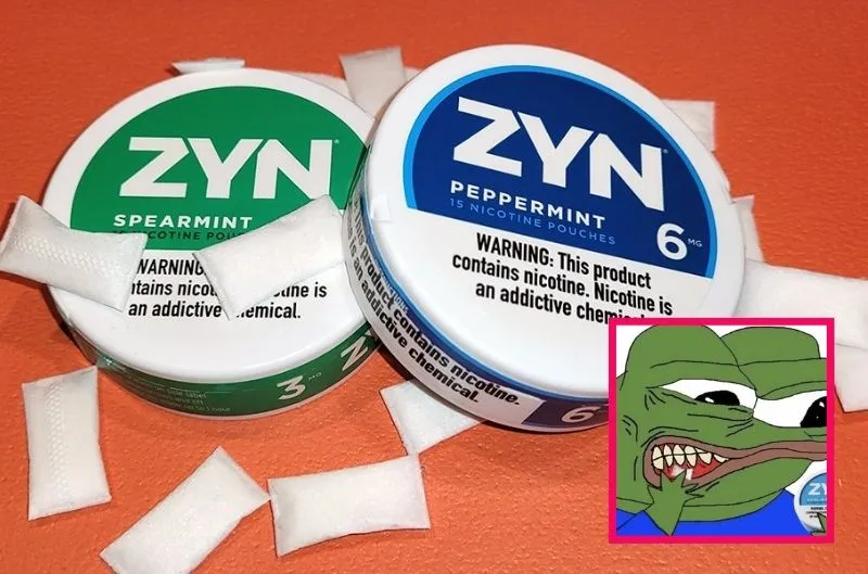 Las bolsas de nicotina Zyn atraen a jóvenes y preocupan a legisladores