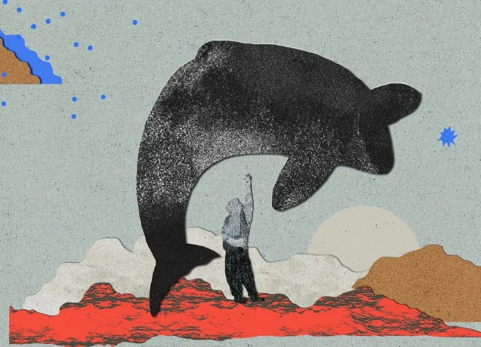 Keiko, la orca que conquistó corazones: el podcast que revive su historia
