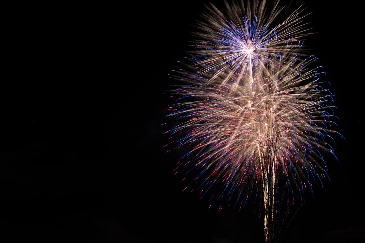 año nuevo en dc