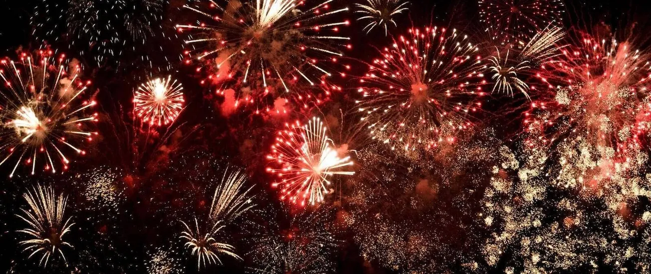 fuegos artificiales miedo