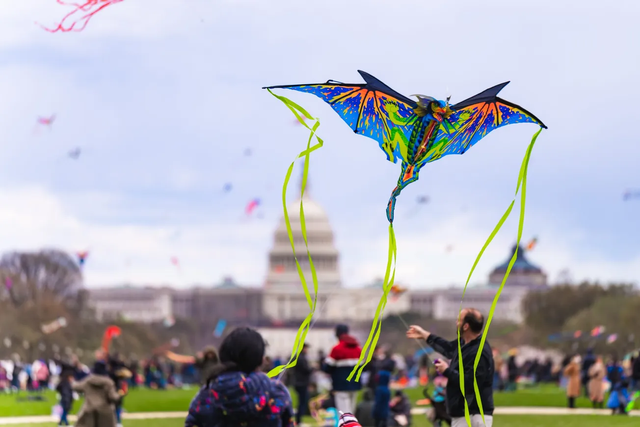 Estas calles de DC estarán cerradas el sábado por el Petalpalooza