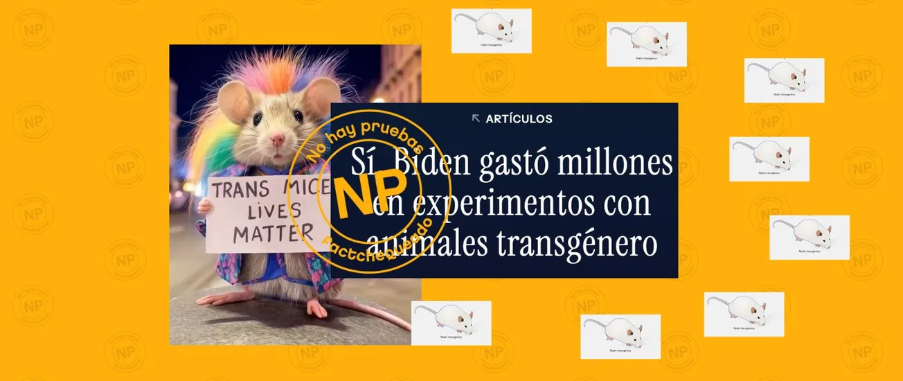 ratones en transgénero
