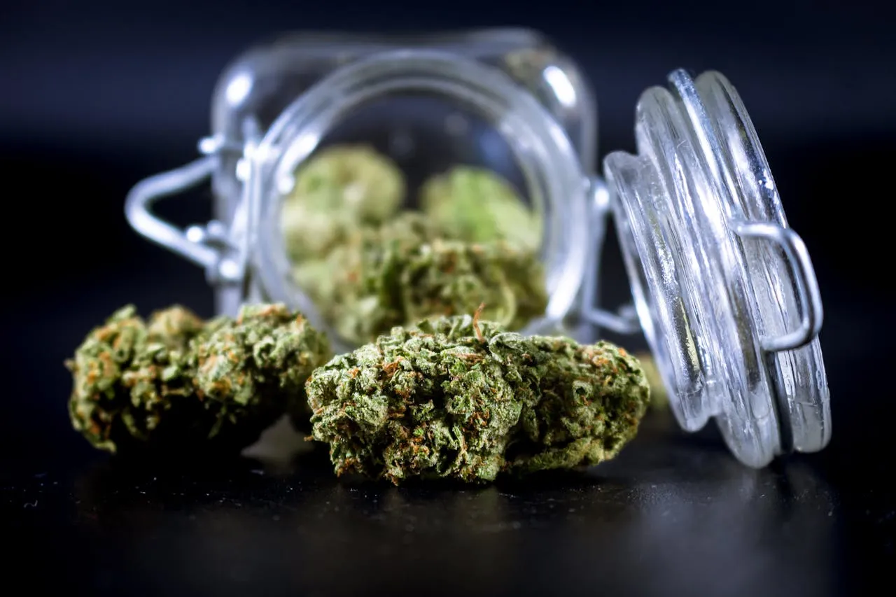 cannabis