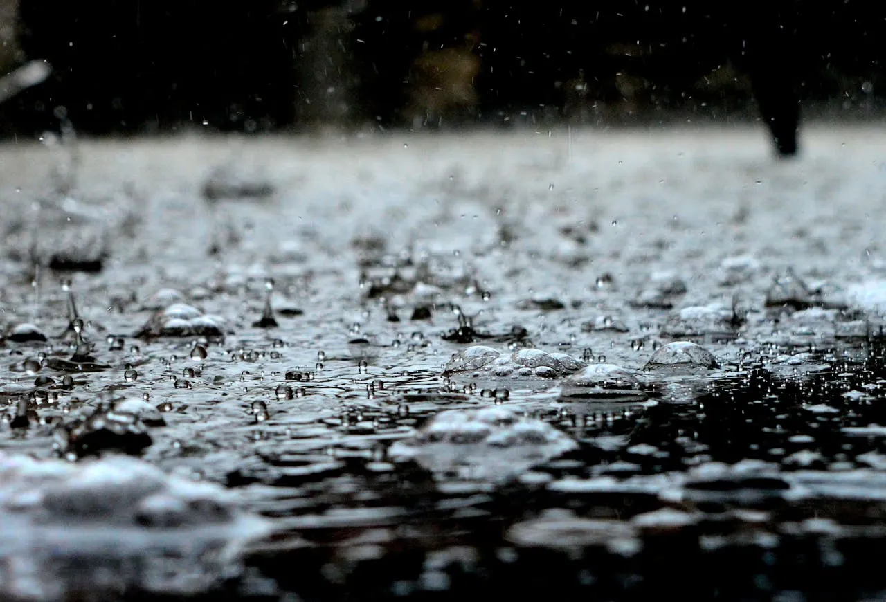 D.C. recibirá aproximadamente 3,5 pulgadas de lluvia en abril: esto dicen los pronósticos
