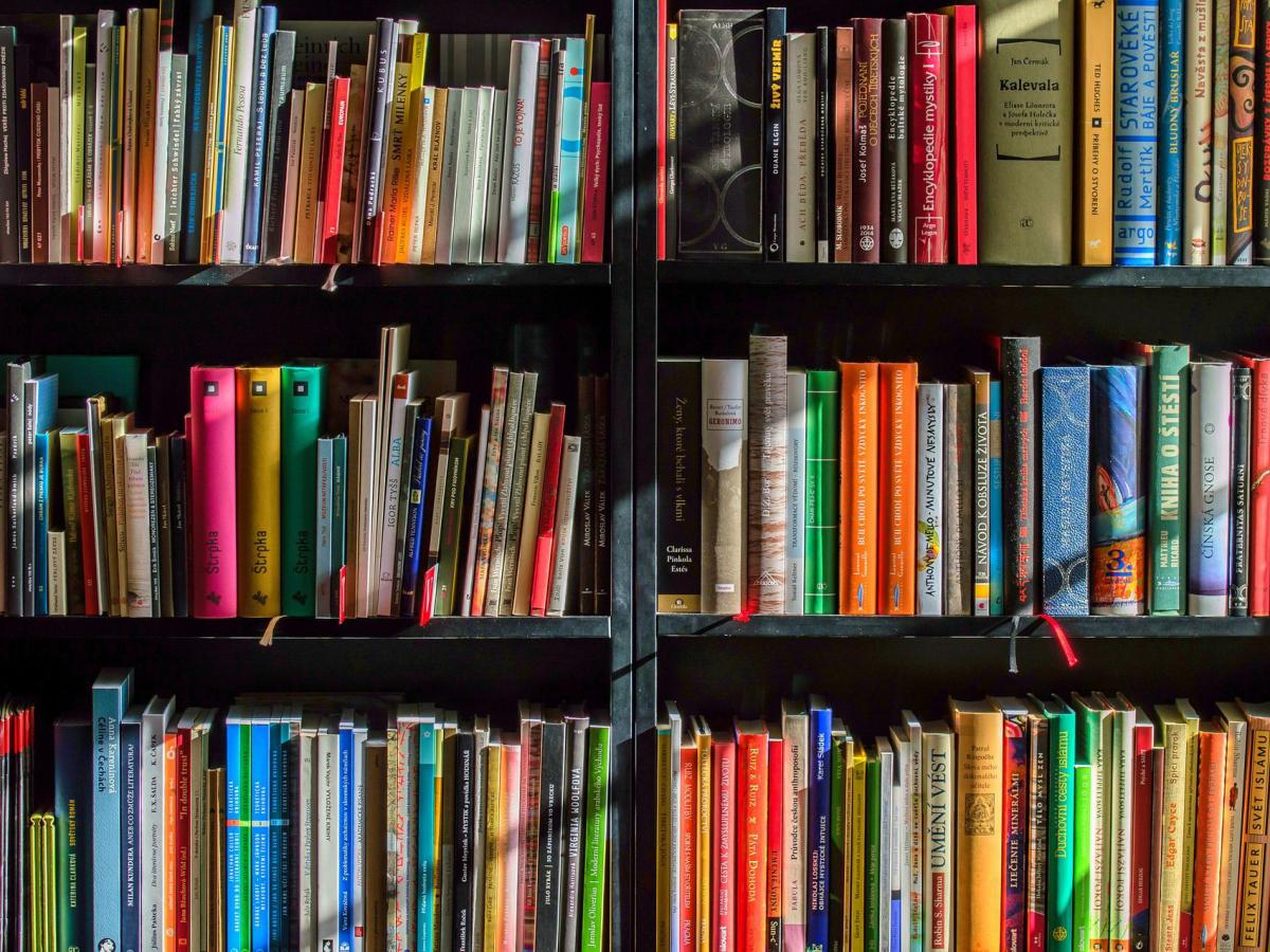 Controversia en Iowa: demandan a las autoridades educativas por censurar libros en las escuelas